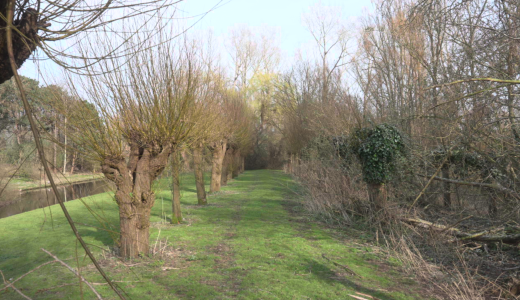 Scherm­afbeelding 2025-06-24 om 11.21.58