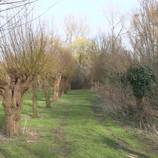 Scherm­afbeelding 2025-06-24 om 11.21.58