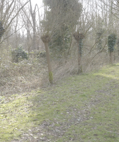 Scherm­afbeelding 2025-06-24 om 11.27.46