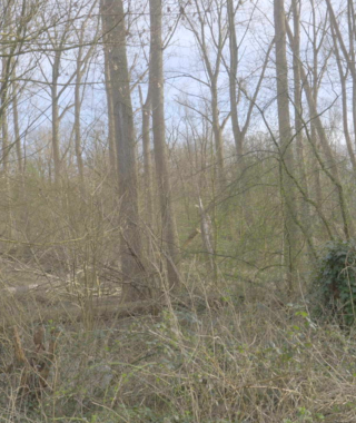 Scherm­afbeelding 2025-06-24 om 11.28.57